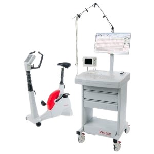 cs-200-excellence-removebg-preview